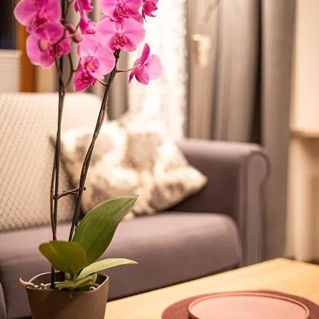 Appartement Haus Lupfer