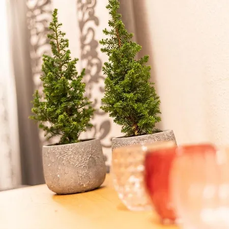 Appartement Haus Lupfer Oberstdorf